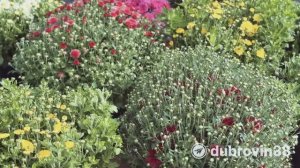 Было интересно, красочно и вкусно!