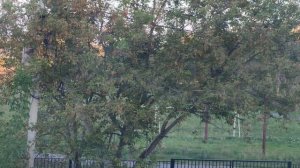 стадион возле школы в деревне