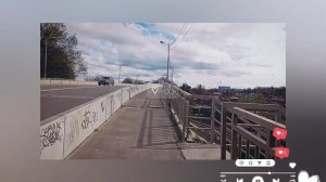Пасха 2025. Прогулка с животными в парке Галицкого