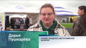 Больше 60 пород собак в одном месте! В Барнауле завершилась крупная национальная выставка