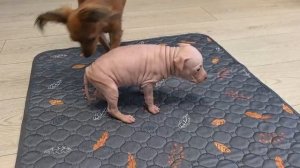 1000013161.mp4