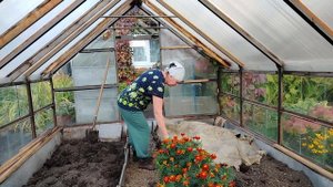 Бабушка навозила 12 тачек золота. Муж закончил с мангальной зоной. Я тоже не сидела без дела.