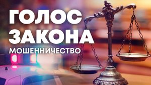 Мошенничество в сфере информационно-коммуникационных технологий. "Голос закона"
