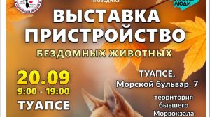 В Туапсе 20.09.2025 пройдет выставка-пристройство бездомных животных.