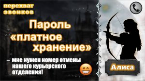 АЛИСА. Пароль "платное хранение". Сборник.