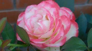 05=09=2025   Ю  КМР  (40)