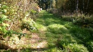 ТЕСТИРУЮ ЦИФРОВОЙ ФОТО АППАРАТ САМСУНГ WB30F