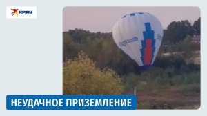 В Дмитрове воздушный шар сел в кусты