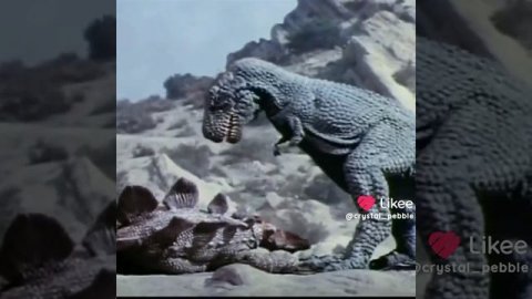 динозаврики