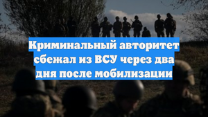 Криминальный авторитет сбежал из ВСУ через два дня после мобилизации