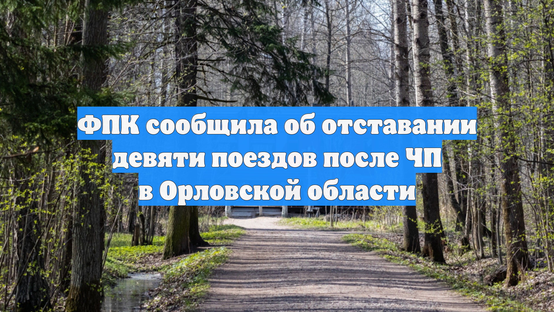 ФПК сообщила об отставании девяти поездов после ЧП в Орловской области