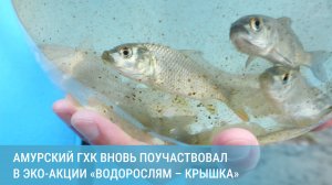 АГХК снова стал участником масштабной экоакции «Водорослям – крышка»