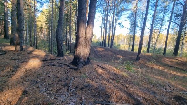 ASMR🎄 Пробное видео если понравится понимаю еще🎄 смотреть онлайн