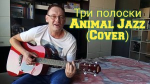 Андрей Комаров - Три полоски cover (Animal Jazz) | Командр_Guitar