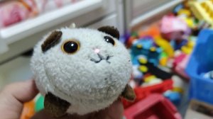 играем в плюшевого маленького котенка для малышей