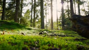 Подкаст 17. Сдвиг Сознания. О готовности к своим желаниям.