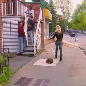 English: #FunnyMoments YouTube humorous #ComedySkits