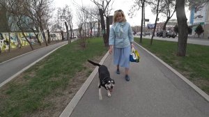 Встречаем Людочку с работы. Из архива за 12.04.2021.