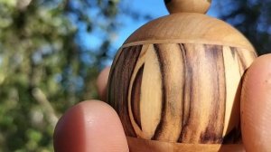 Шкатулка на березе с шиповником и цветами. Сентябрь 2025