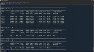 Nokia SR-OS_ 1 - Introduction and Initial Configuration