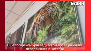 Музей Белогорска приглашает на выставку