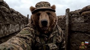 влог, собираемся на фронт