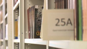 Омская духовная семинария (2017 г.)