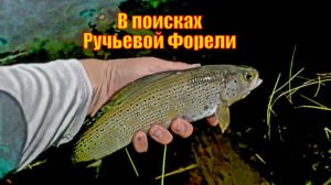 Пеший поход в одиночку по Уинд-Риверс - В поисках Ручьевой Форели
