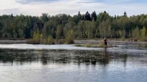 Поход за клюквой 2025