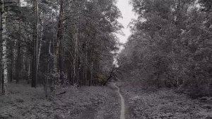 Мясо (страшная история)