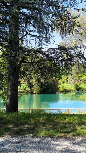 "И вот к тебе пришла она".