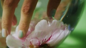 5875602-uhd_4096_2160_25fps