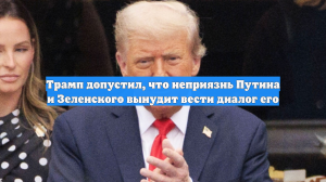 Трамп допустил, что неприязнь Путина и Зеленского вынудит вести диалог его