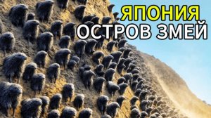 Япония ВЫПУСТИЛА УБИЙЦ ЗМЕЙ на Остров 25 лет спустя это КОШМАР