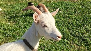 Новый день, новые возможности...