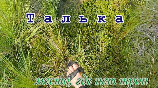 Талька - Осиповичи