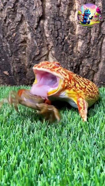 Смотри и наслаждайся смотреть онлайн