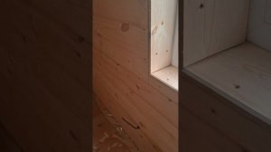 1000034587.mp4 (Собака наблюдает за устройством откосов у оконных проёмов на 2-ом эт. дома А-фрейм)