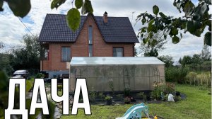 ДАЧА 20 АВГУСТА 2025.