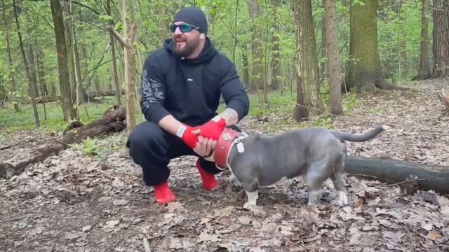 Работа на перекладине