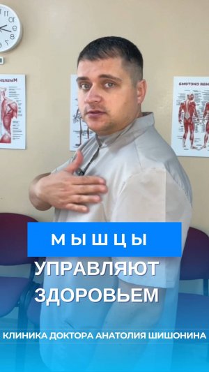 Мышцы управляют здоровьем