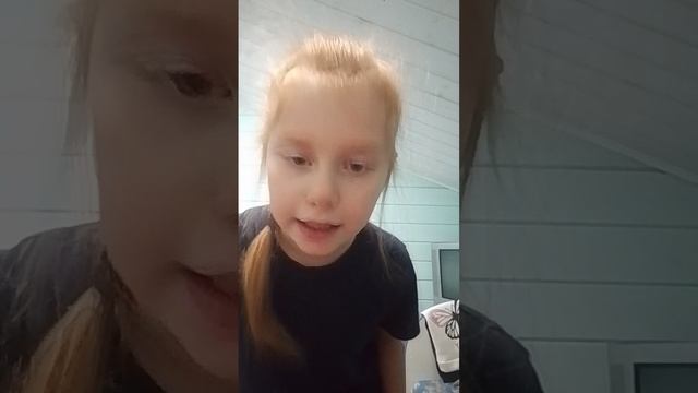 несколько фактов о моей кошке смотреть онлайн