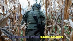 В России айтишник пожелал смерти ушедшему на СВО коллеге и был оштрафован судом