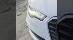 Портфолио: Shorts №1