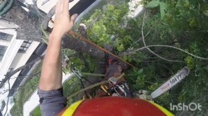 Спил деревьев в Екатеринбурге и Свердловской области