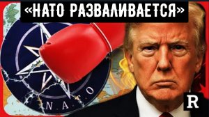 «НАТО РАЗВАЛИВАЕТСЯ». Трамп только что нанёс сокрушительный удар по глобалистам из НАТО