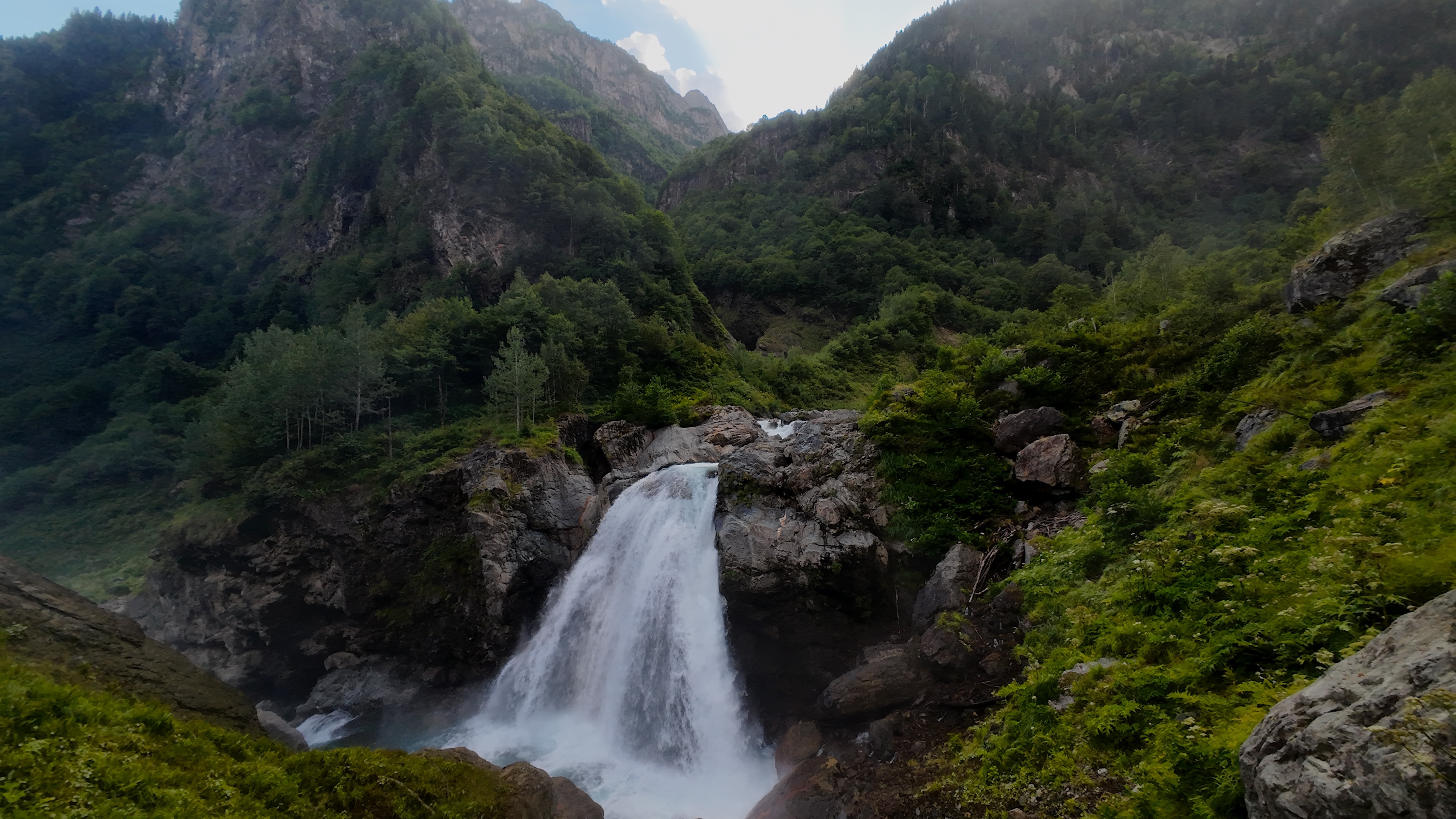 Южный приют