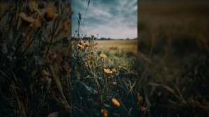 ОСЕНЬ ЗАКОННО ВСТУПИЛА В ПРАВА