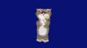 Кот с цветами