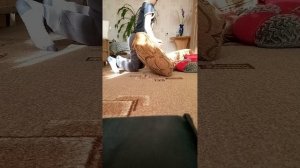 1 часть выживание. в лесу.